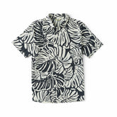 Black Monstera,XS
