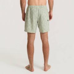 Roark Shorey Boardshorts in Sage - Men