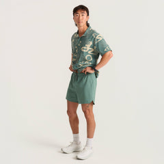 Roark Baja 5" Shorts in Slate Green - Men|Run / Active