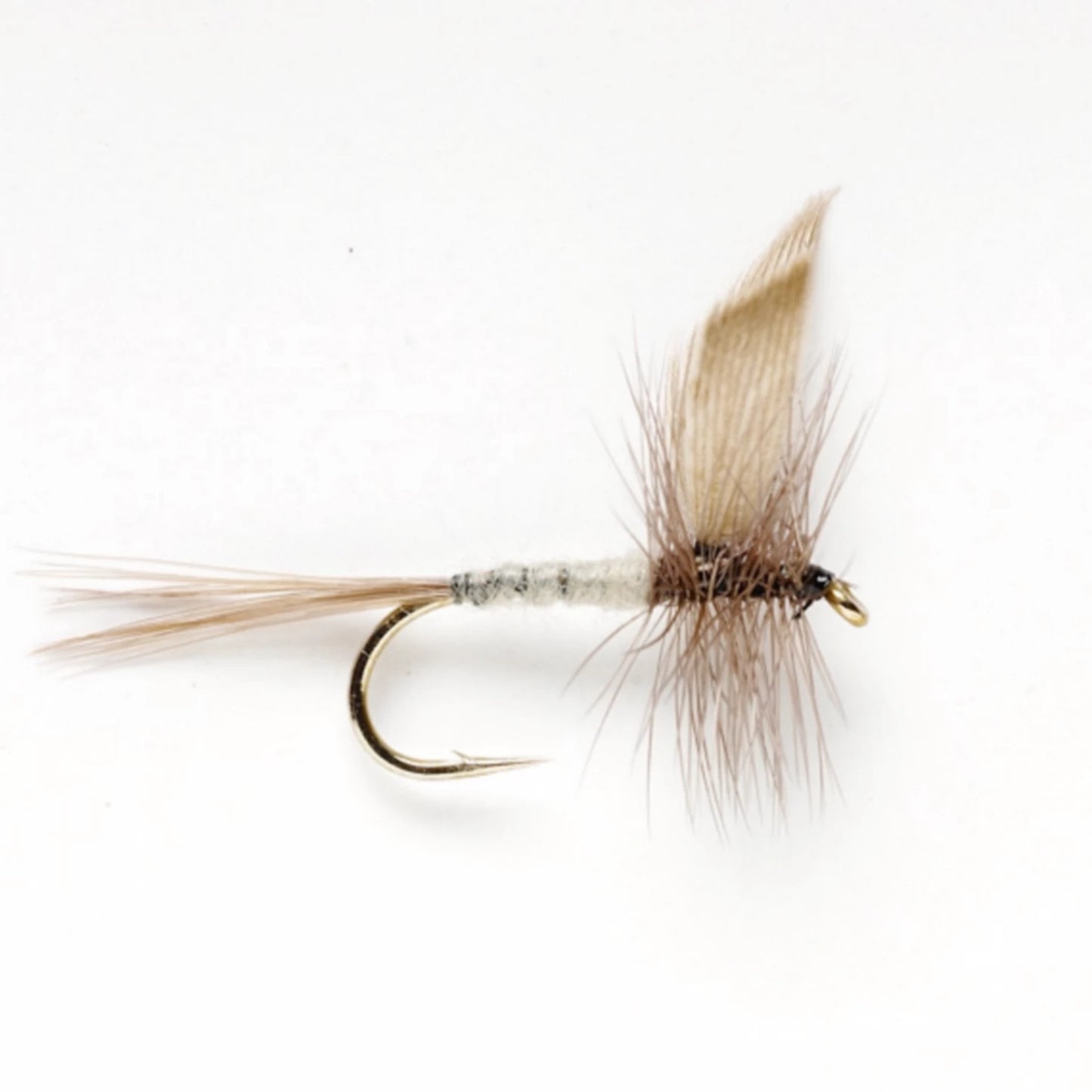 Orvis | Blue Dun