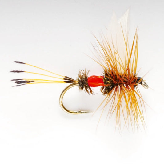Orvis | Royal Coachman