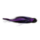 BLACK PURPLE