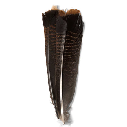 Orvis | Mottled Turkey Feathers