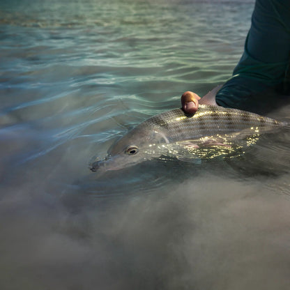 Orvis | Belize Saltwater Fly Fishing School