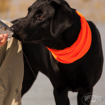 Orvis | Lowcountry Saltwater Fishing School, SC
