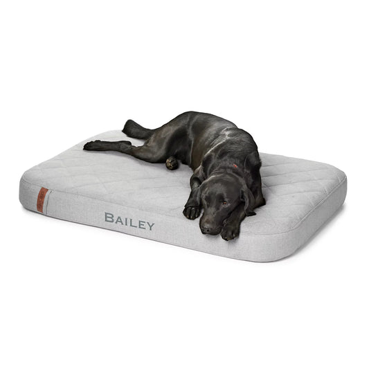 Orvis | Orvis RecoveryZone® Lounger Dog Bed