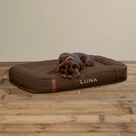Orvis | ToughChew® Memory Foam Lounger Dog Bed