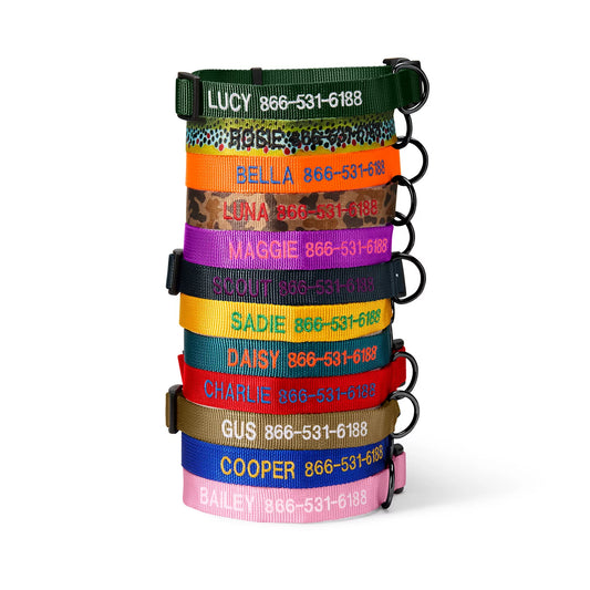 Orvis | Personalized Side-Release Buckle Collar