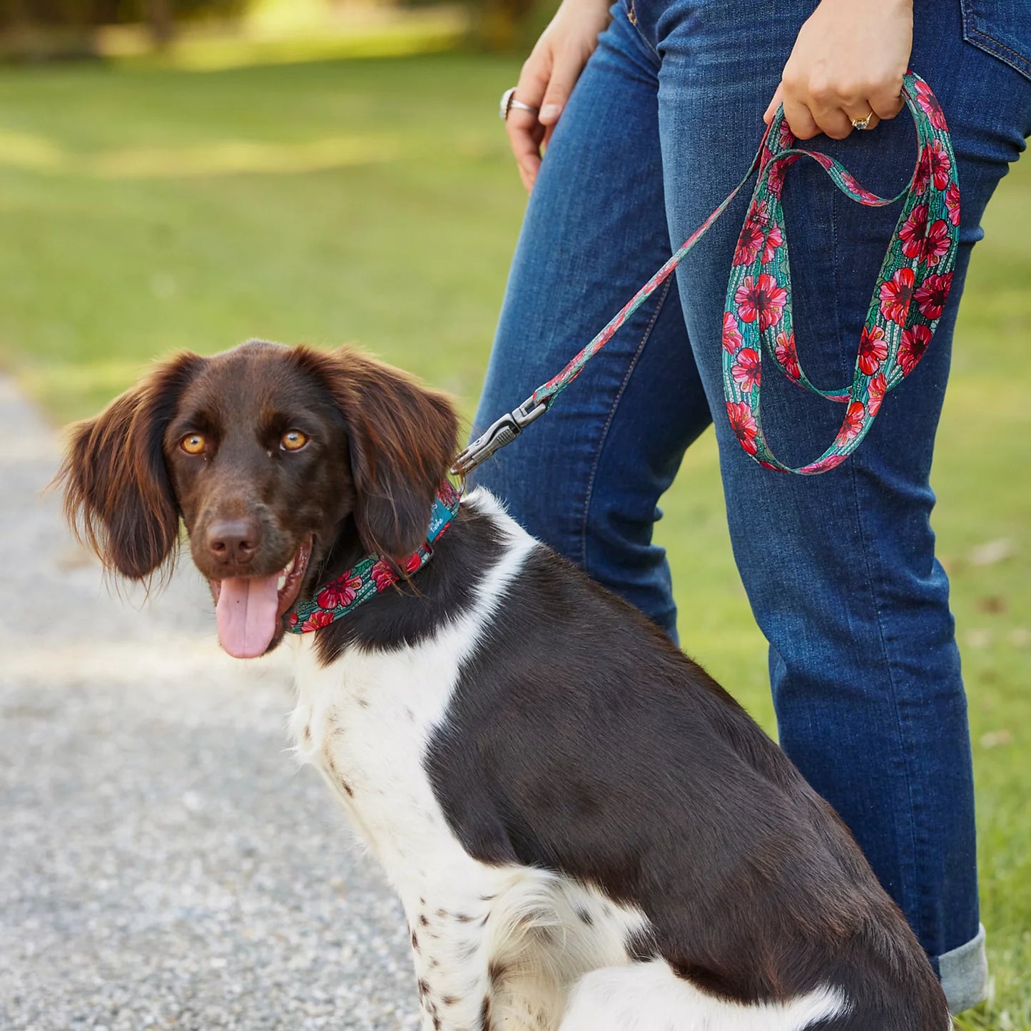 Orvis | Orvis x Fishe® Wear Collar