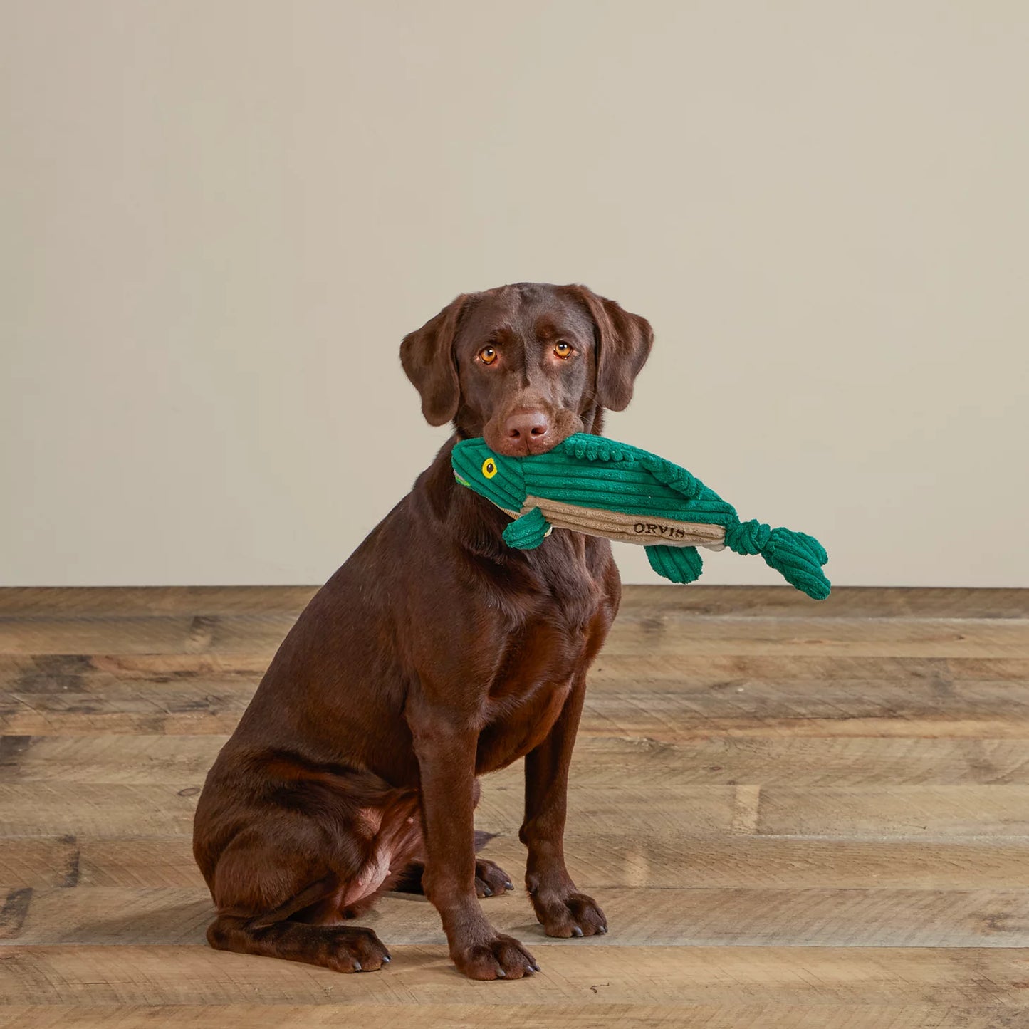 Orvis | Animal Squeaky Toys