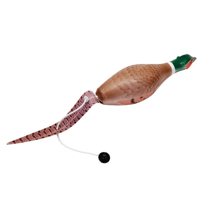 PHEASANT