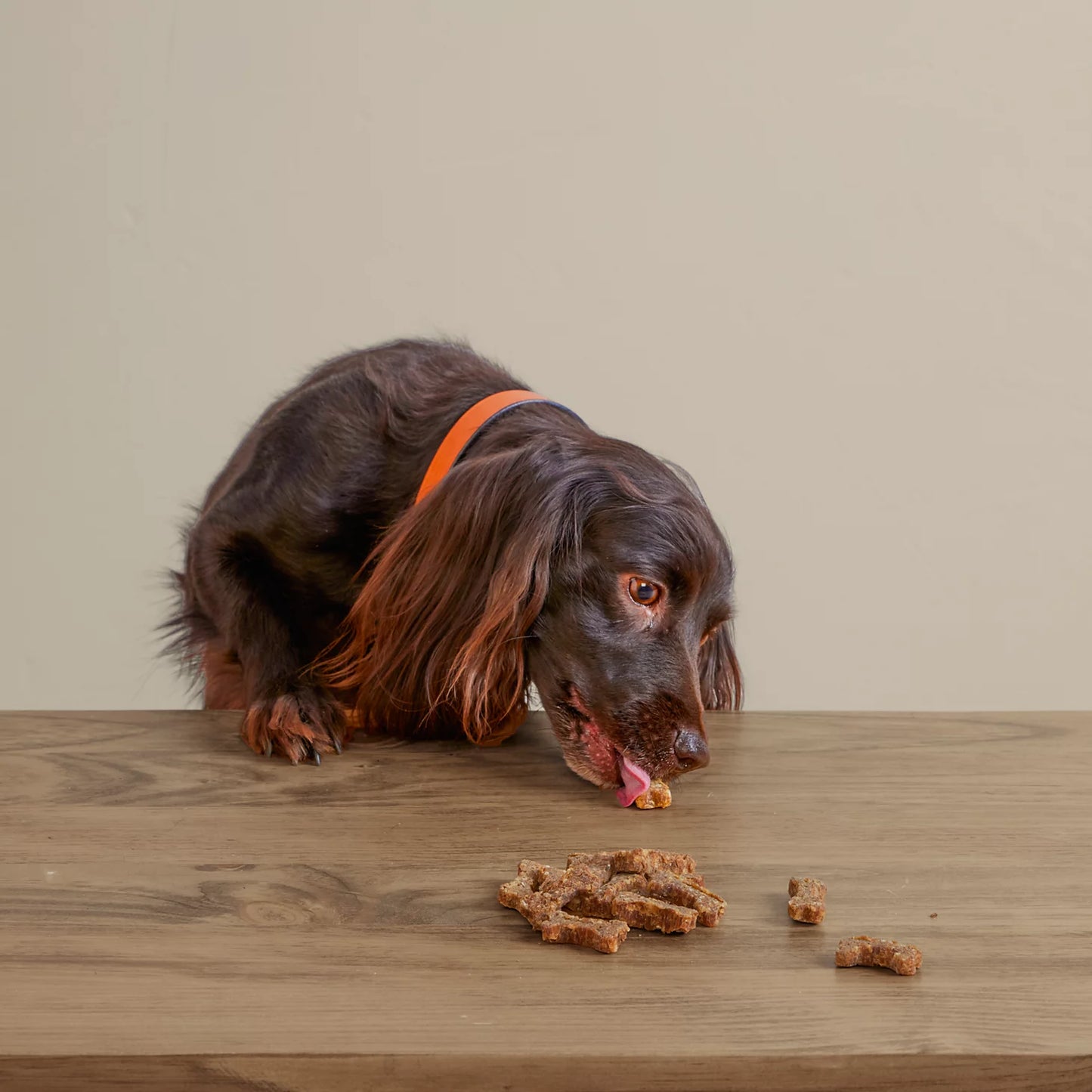 Orvis | Polkadog Green Monstah Bones