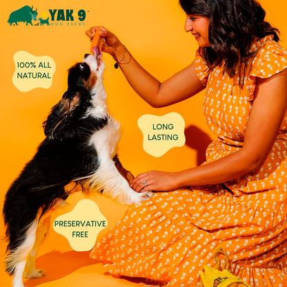 Orvis | Yak-9 Dog Chew - Single