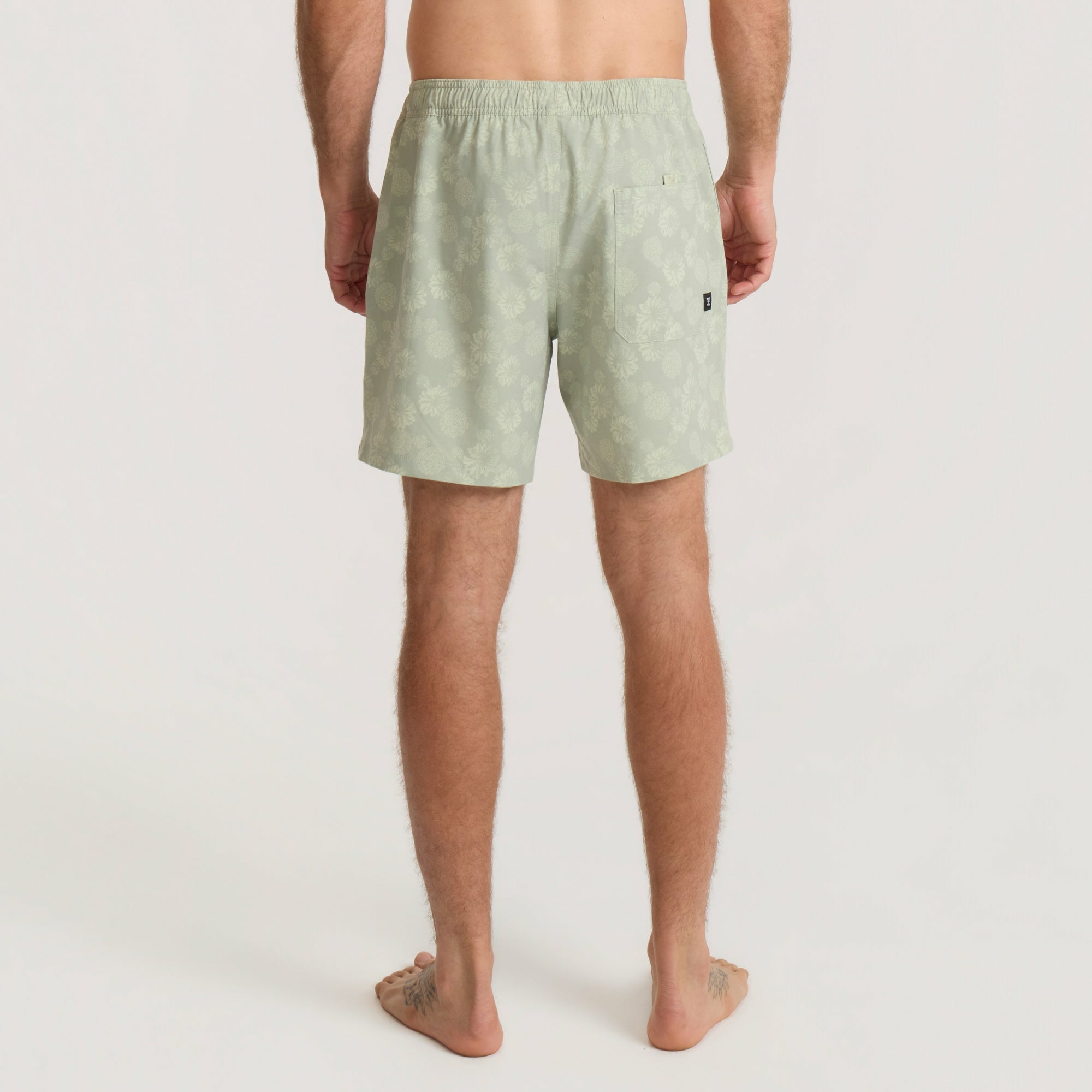 Roark Shorey Boardshorts in Sage - Men