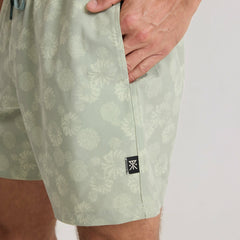 Roark Shorey Boardshorts in Sage - Men