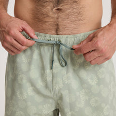 Roark Shorey Boardshorts in Sage - Men