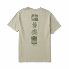 Fossil,XS