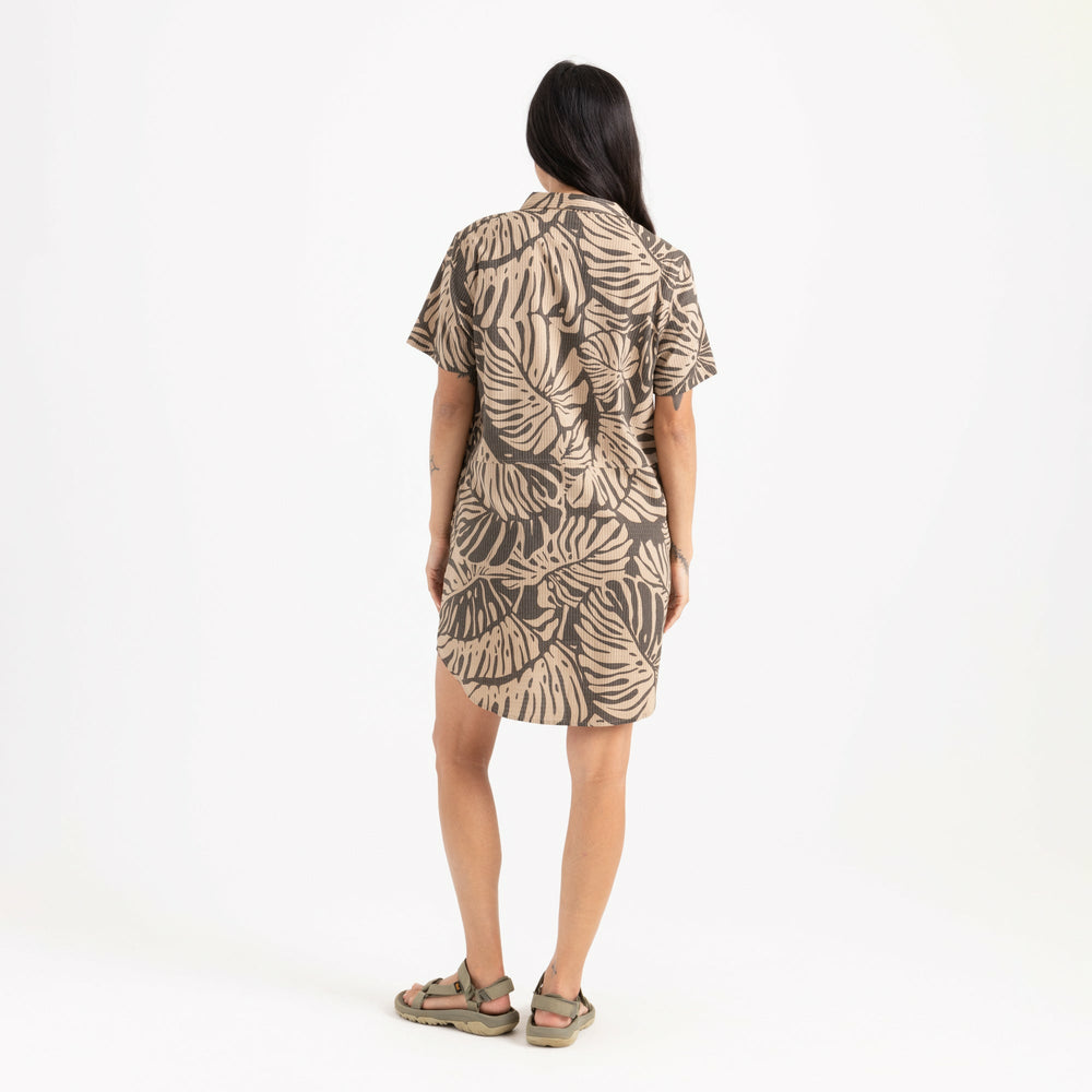 Roark Bless Up Dress in Khaki - Women